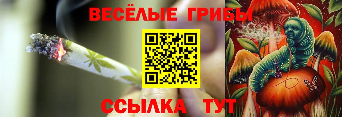 Старая Купавна  Галлюциногенные грибы Psilocybe  Вход с VPN 
